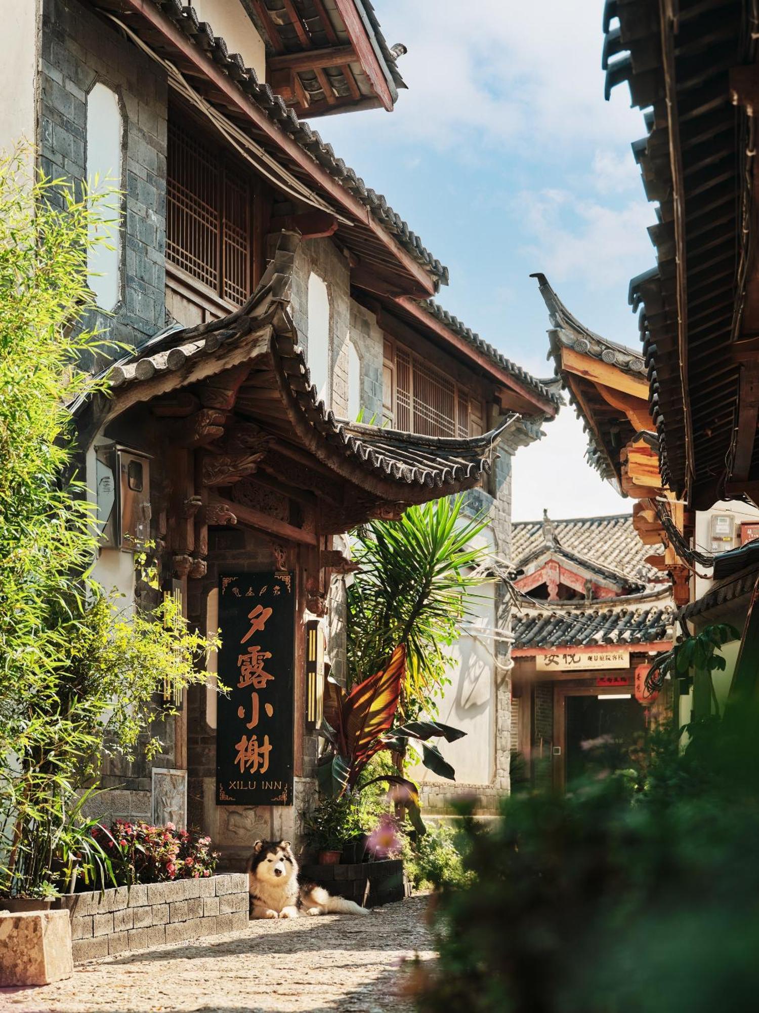 Xilu Xiaoxie Inn Old Town Lijiang Лицзян Экстерьер фото